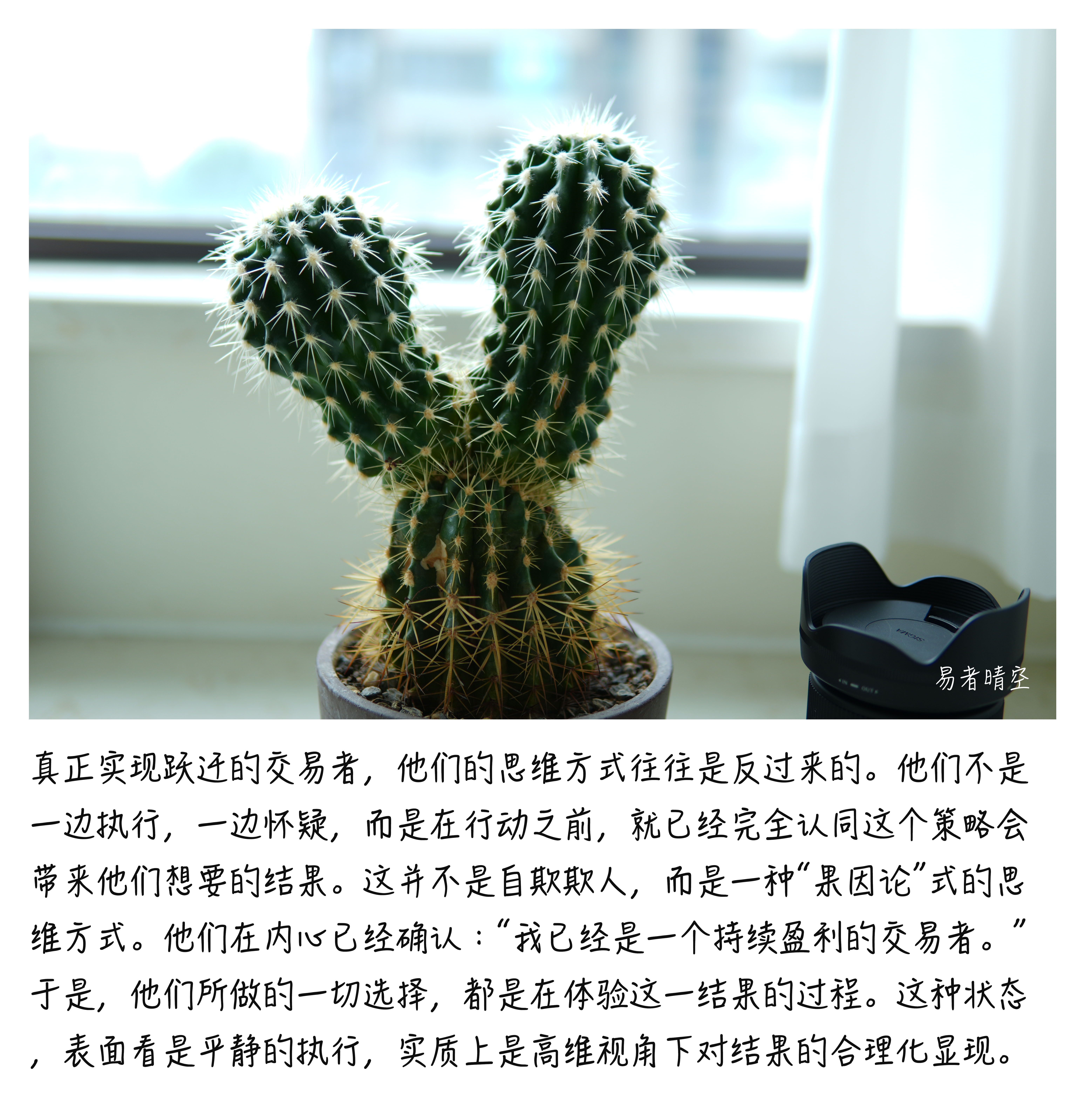 DSC00127副本.jpg